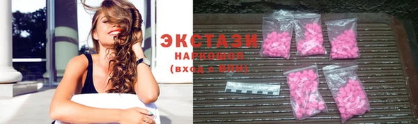 молекула духа Вяземский