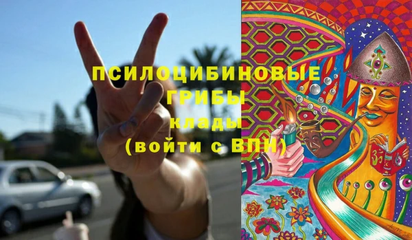 молекула духа Вяземский