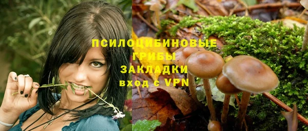 ешки Волоколамск