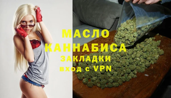 молекула духа Вяземский