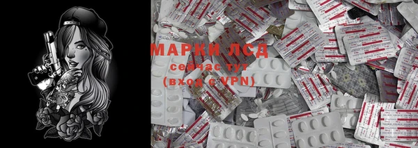 молекула духа Вяземский