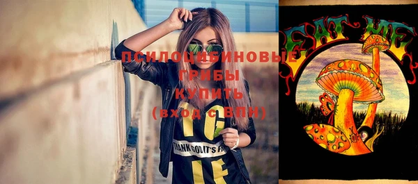 первитин Володарск