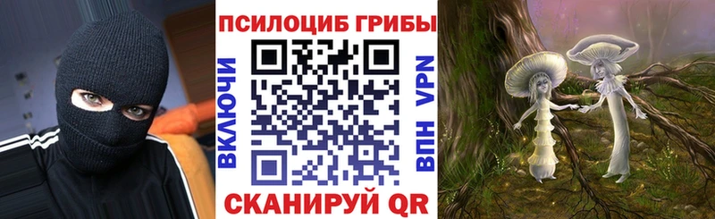 Псилоцибиновые грибы Psilocybine cubensis  Староминская 